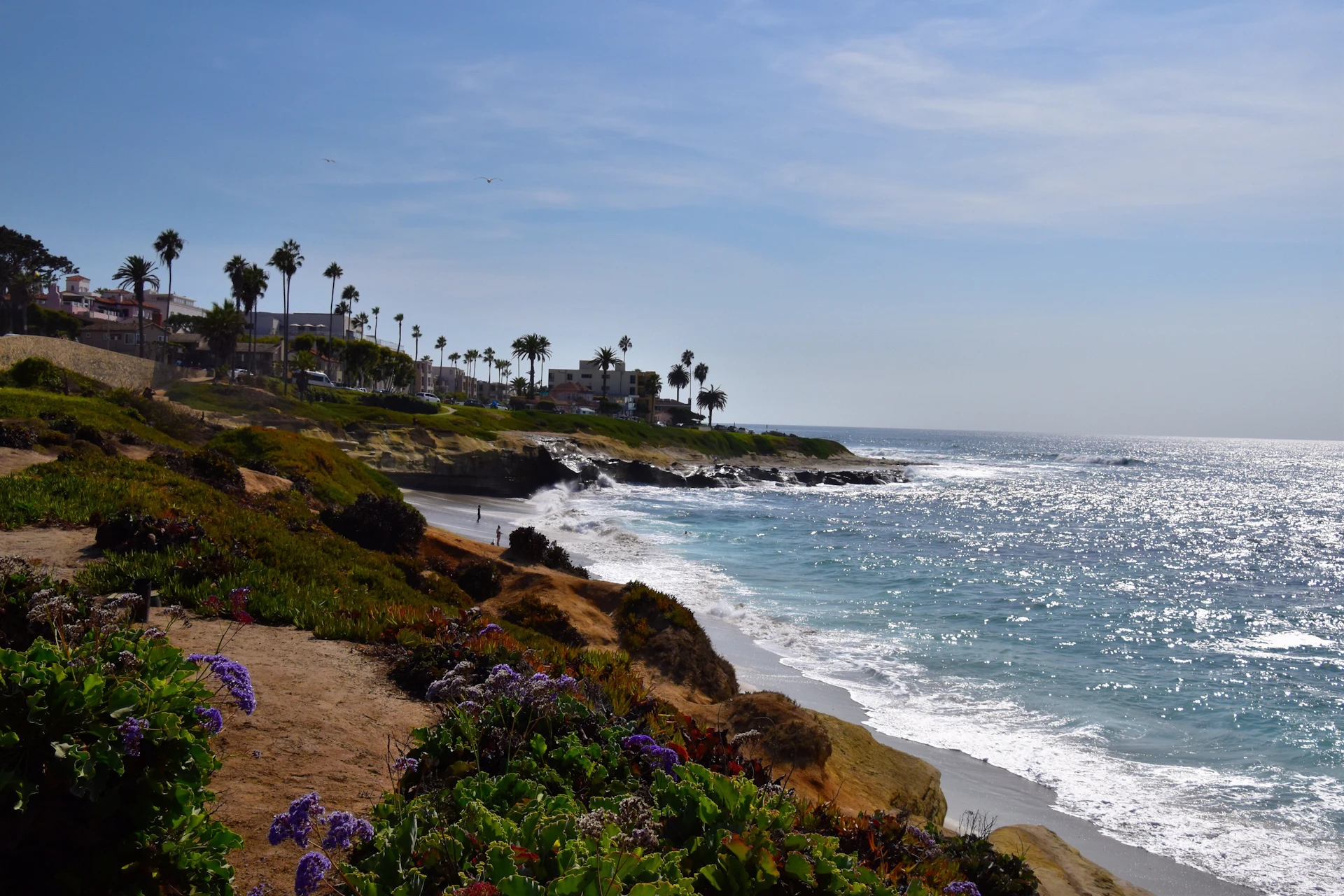 Water Damage Restoration in La Jolla, CA