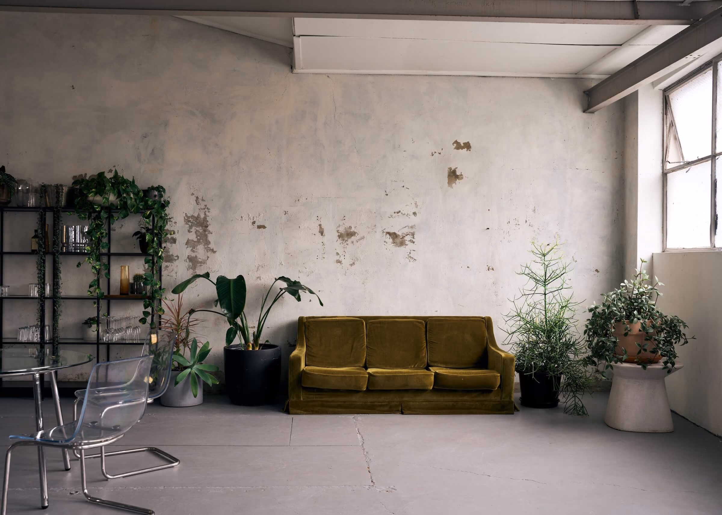A lounge area with potted plants in Frank the studio, with bright natural light flooding through the windows