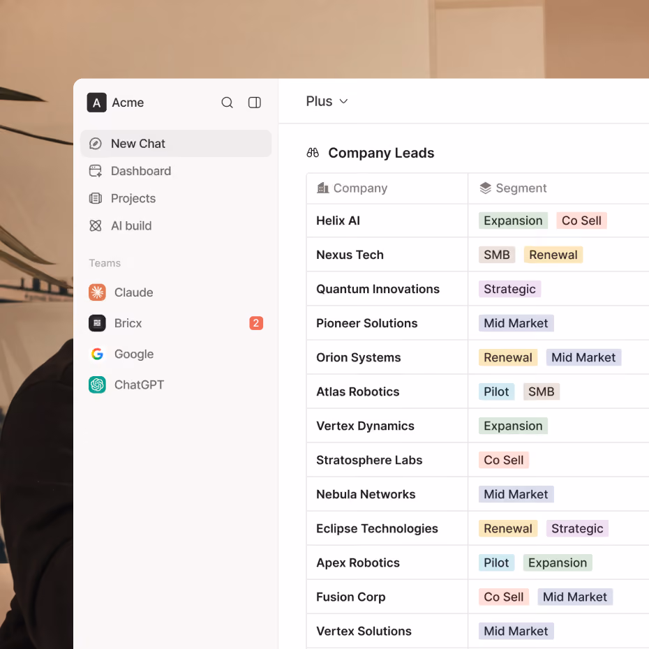 Screenshot of a business dashboard interface showing a sidebar menu with options: New Chat, Dashboard, Projects, AI build, and teams Claude, Bricx, Google, ChatGPT. The main area displays a table titled Company Leads listing companies with their associated segments such as Expansion, Co Sell, SMB, Renewal, Strategic, Mid Market, and Pilot.