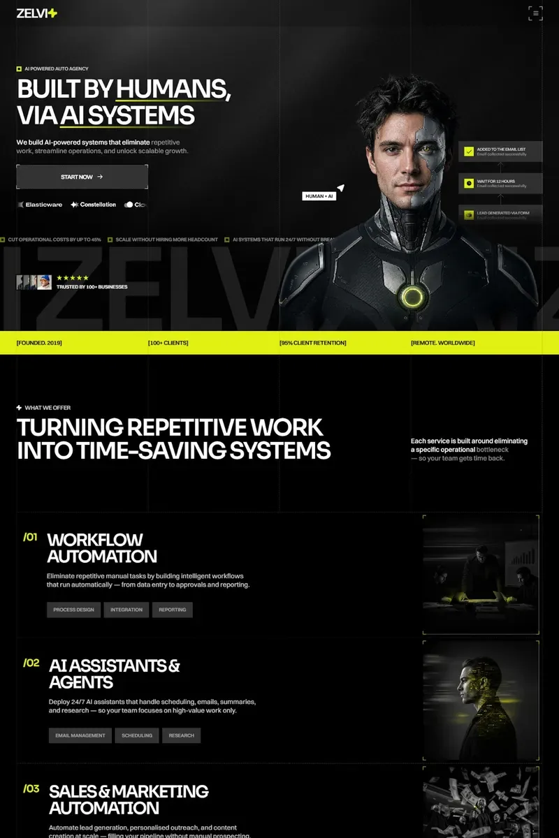 Zelvi website design