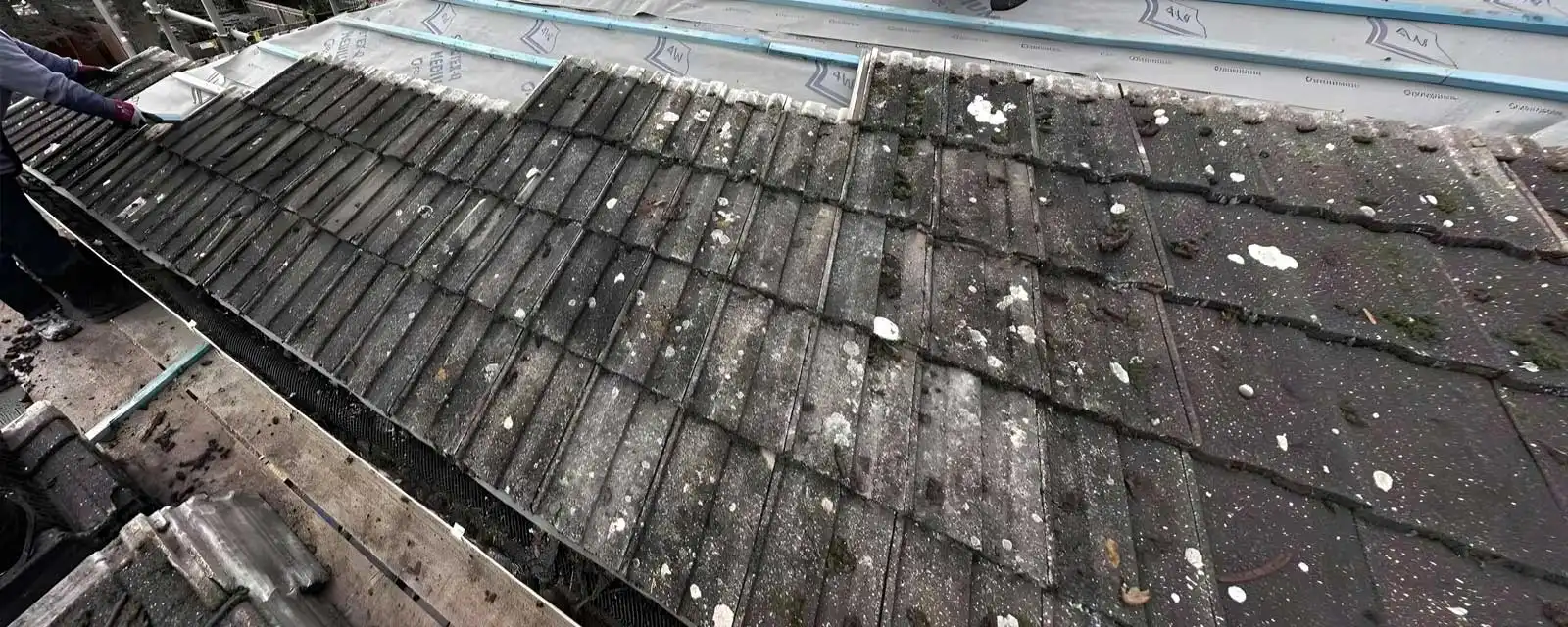 Reliable Roof Repairs That Fix The Cause, Not Just The Symptom