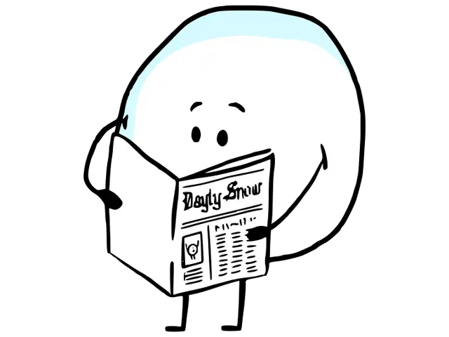 Le Daily Snow