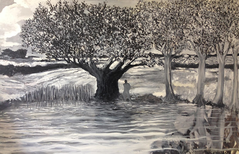 Des arbres et des histoires