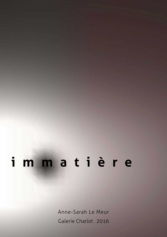 Anne-Sarah Le Meur - Immatière