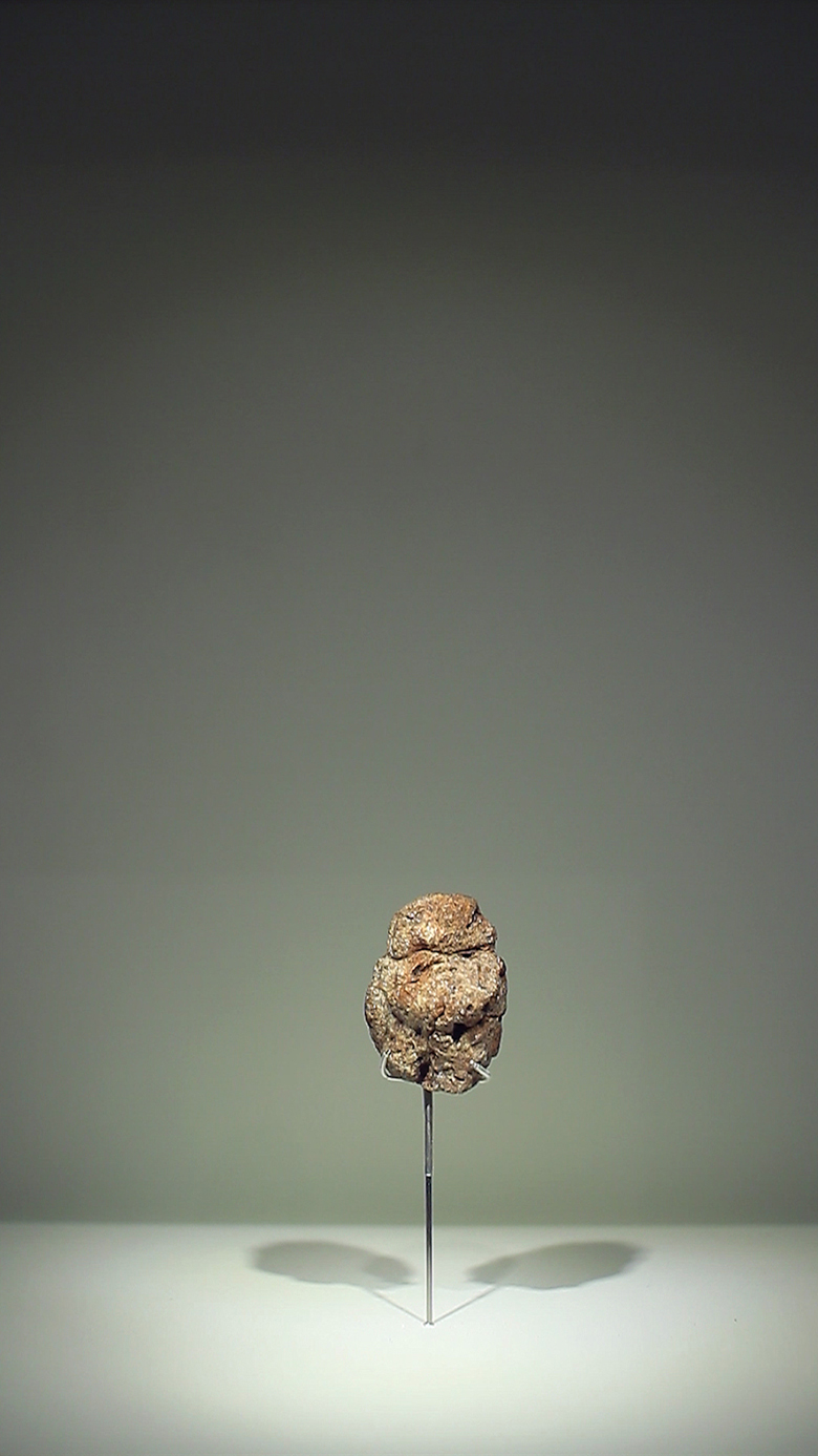 Archeonautes