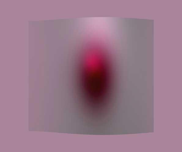 Rose Apothéose