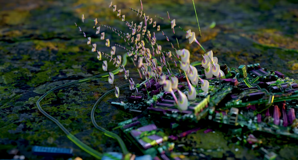 Inflorescences IV, œuvre de Sabrina Ratté — Galerie Charlot