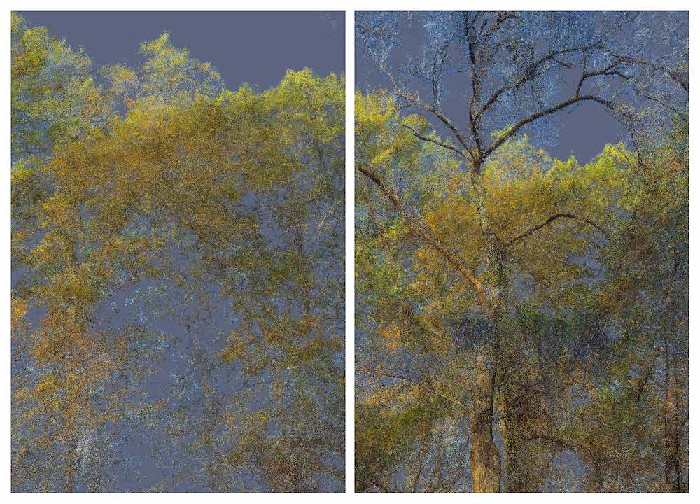 Pointillisme #D_002, œuvre de Quayola — Galerie Charlot