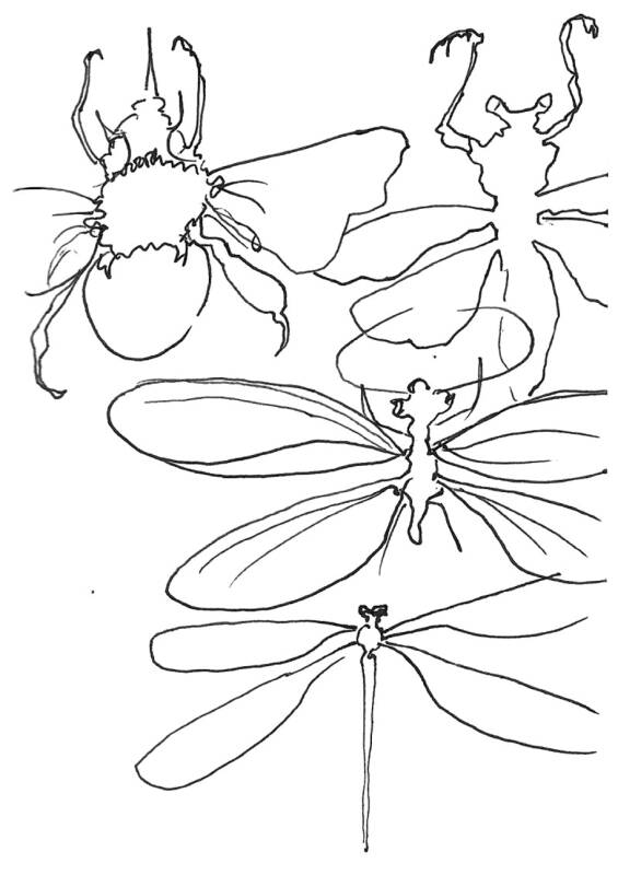 Insect Studies (8), œuvre de Laurent Mignonneau & Christa Sommerer — Galerie Charlot