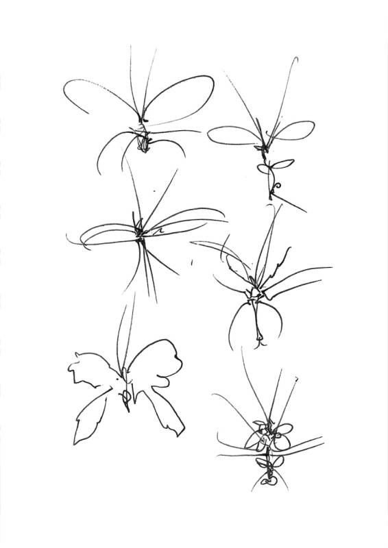 Insect Studies (5), œuvre de Laurent Mignonneau & Christa Sommerer — Galerie Charlot