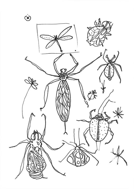 Insect Studies (4), œuvre de Laurent Mignonneau & Christa Sommerer — Galerie Charlot