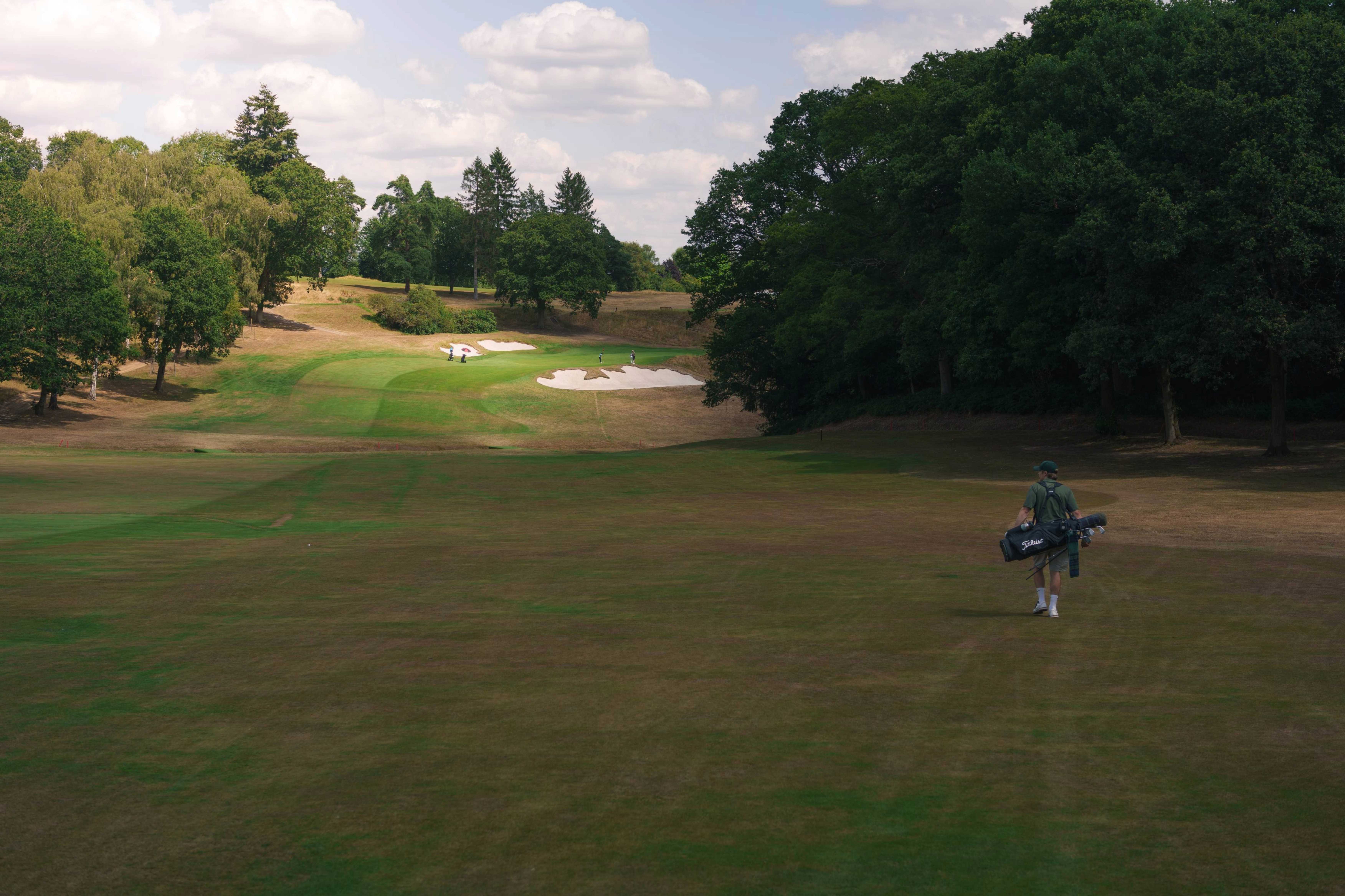 Course architecture at dawn