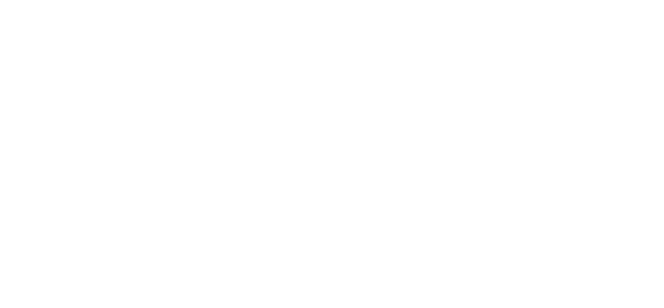 Hans Jet Logo