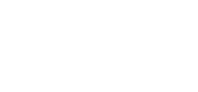 Phoenix Aviation Logo