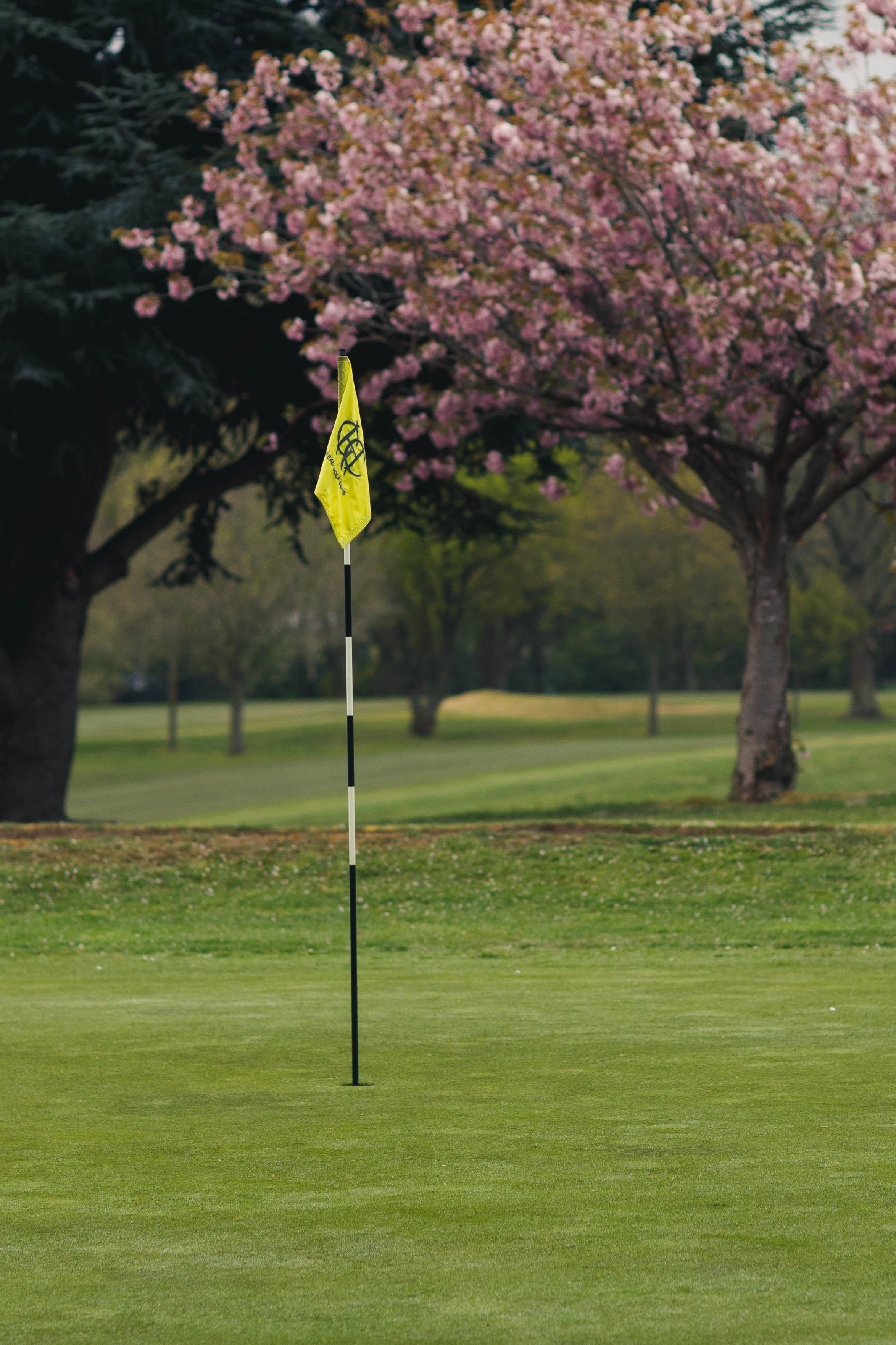 Hampstead Golf Club