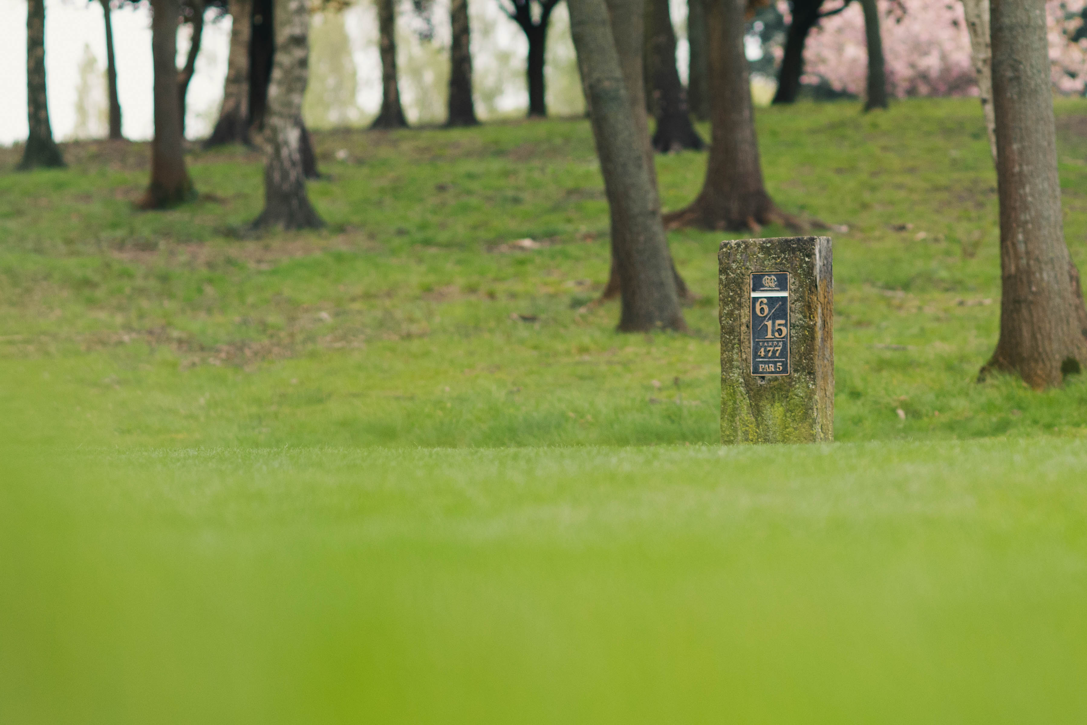 Hampstead Golf Club