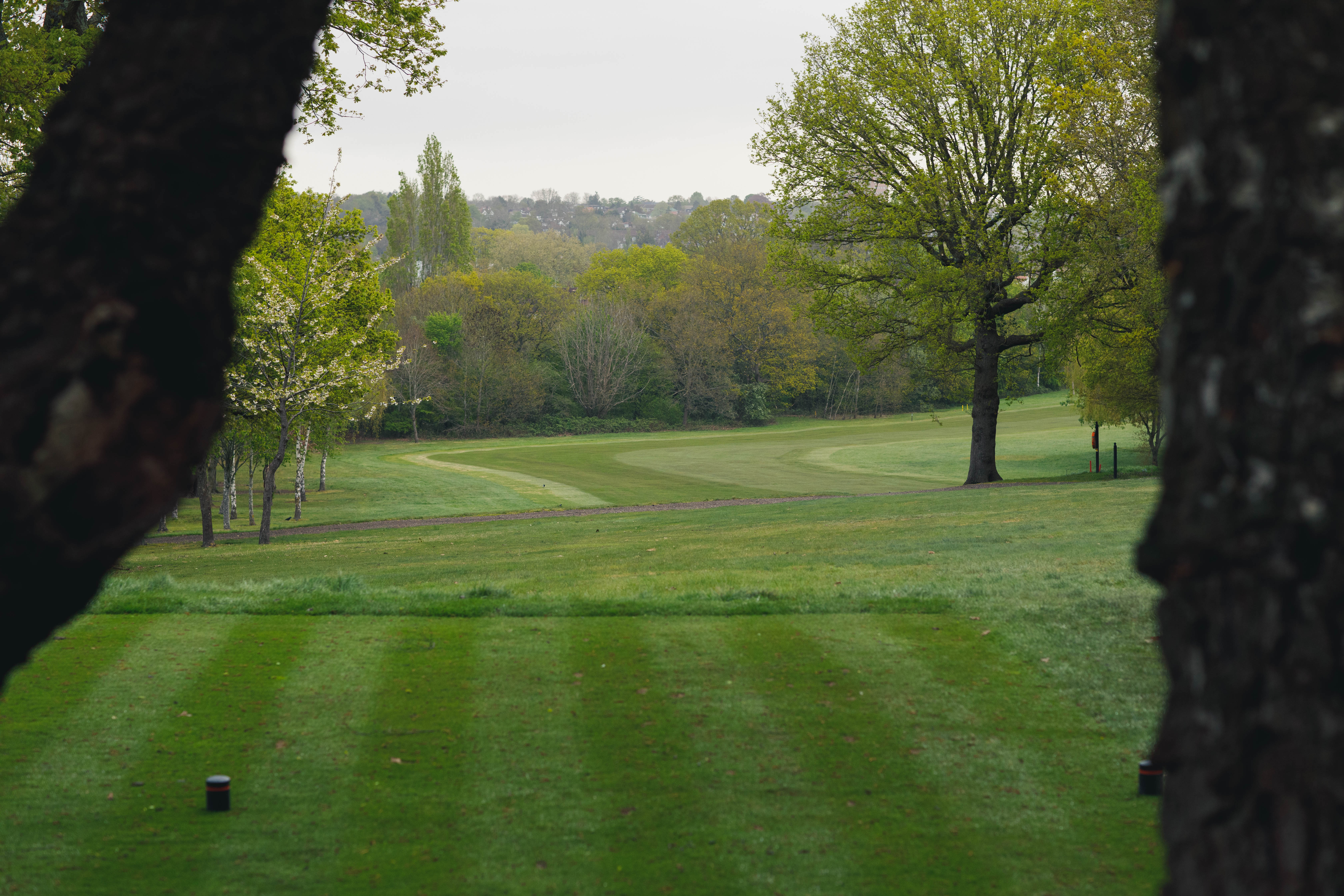 Hampstead Golf Club