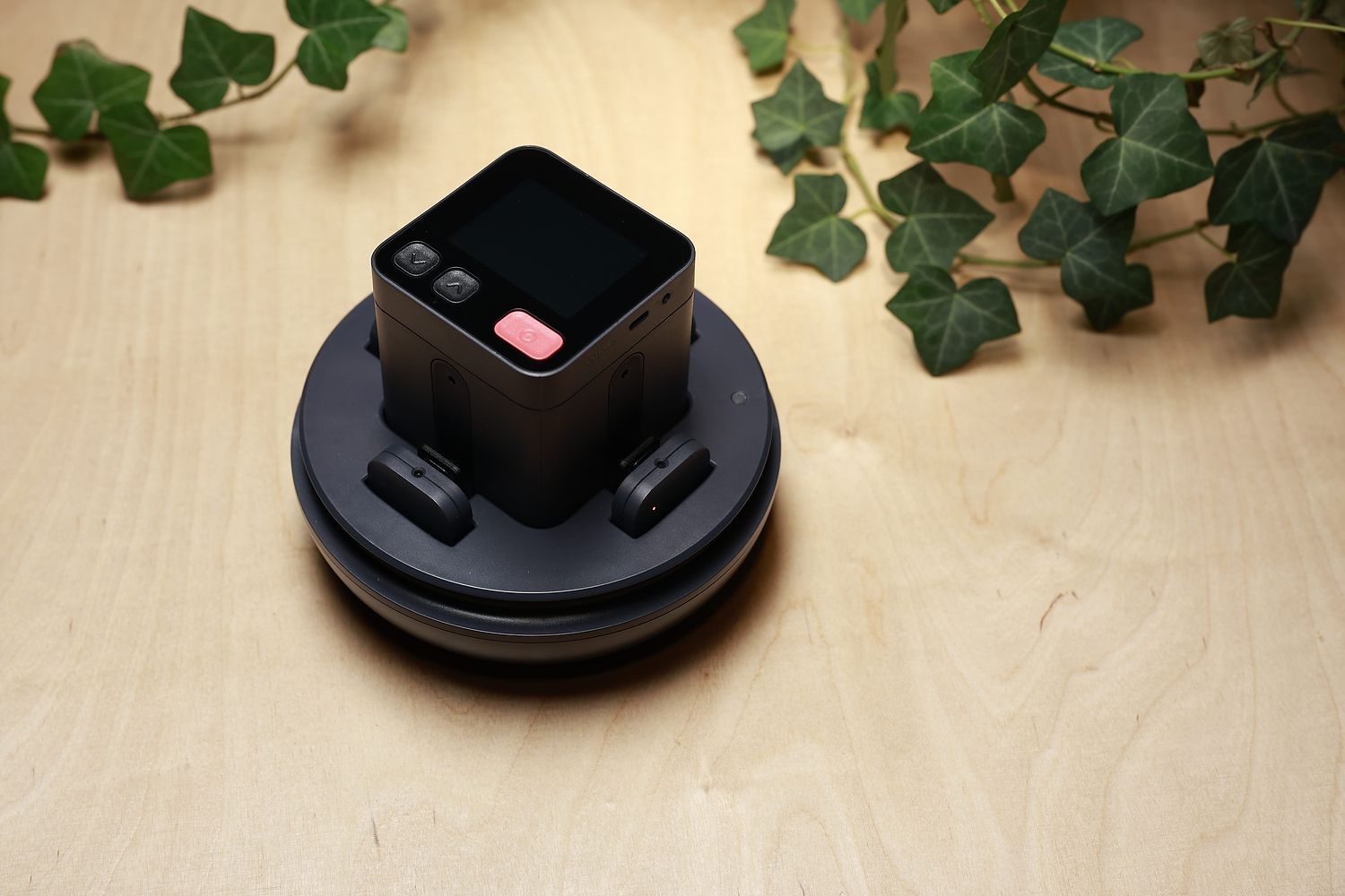 Space Recorder seated on its round charging base with two wireless mics docked, on a light wooden table with ivy leaves.