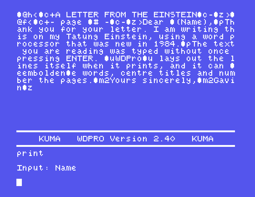 The command area showing print and the prompt Input: Name