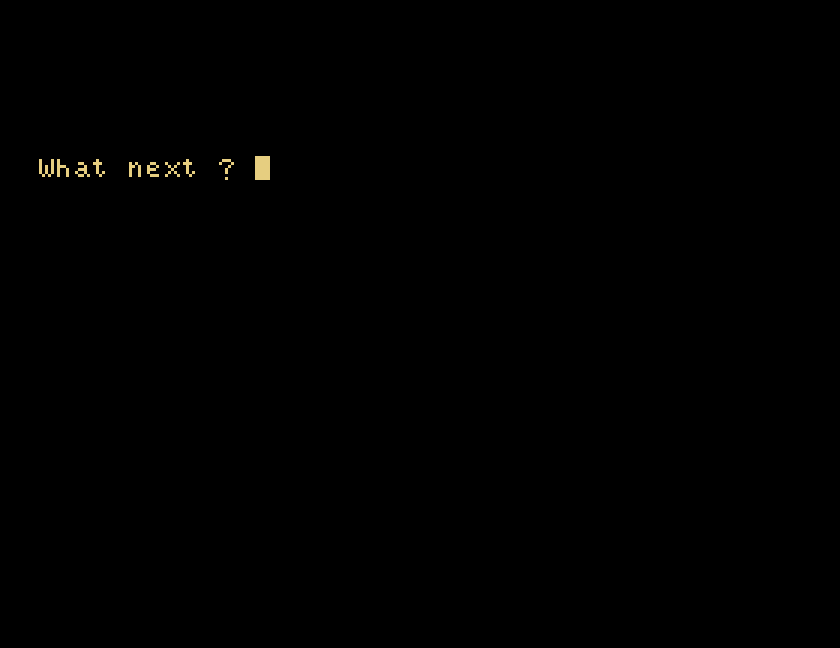 The adventure's What next ? prompt