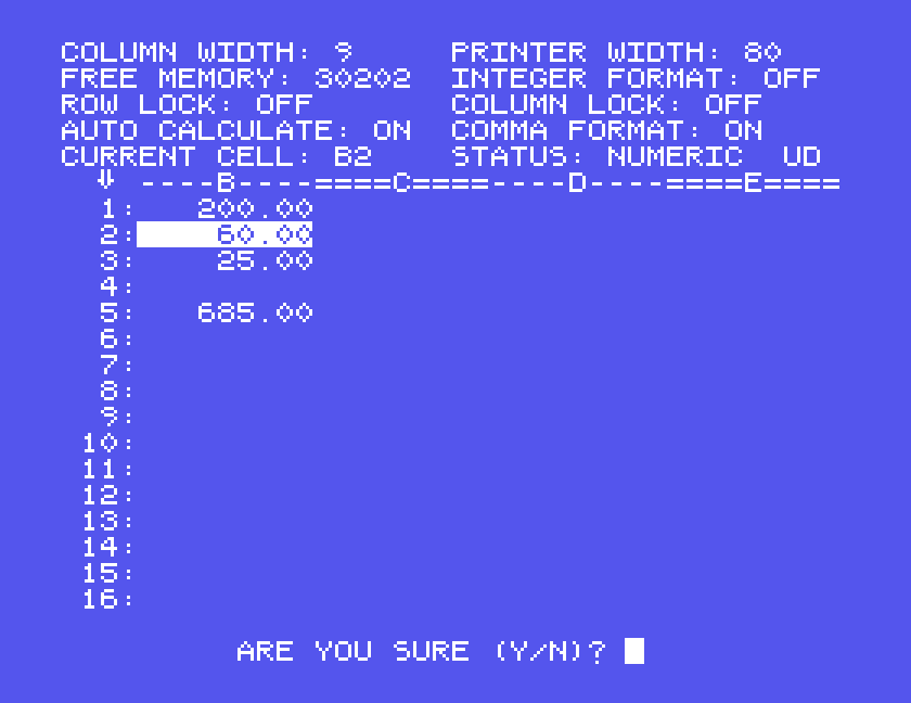 ARE YOU SURE (Y/N)? at the bottom of the screen
