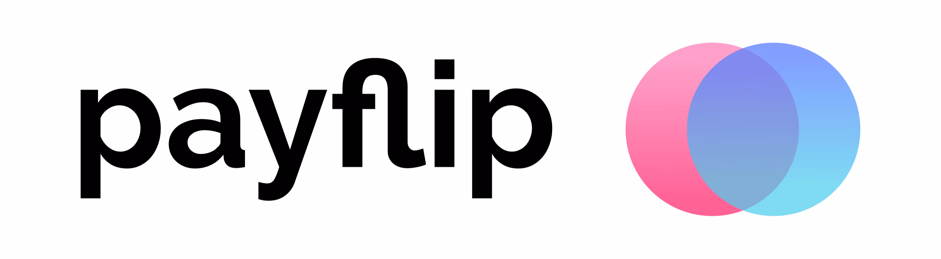 Payflip logo