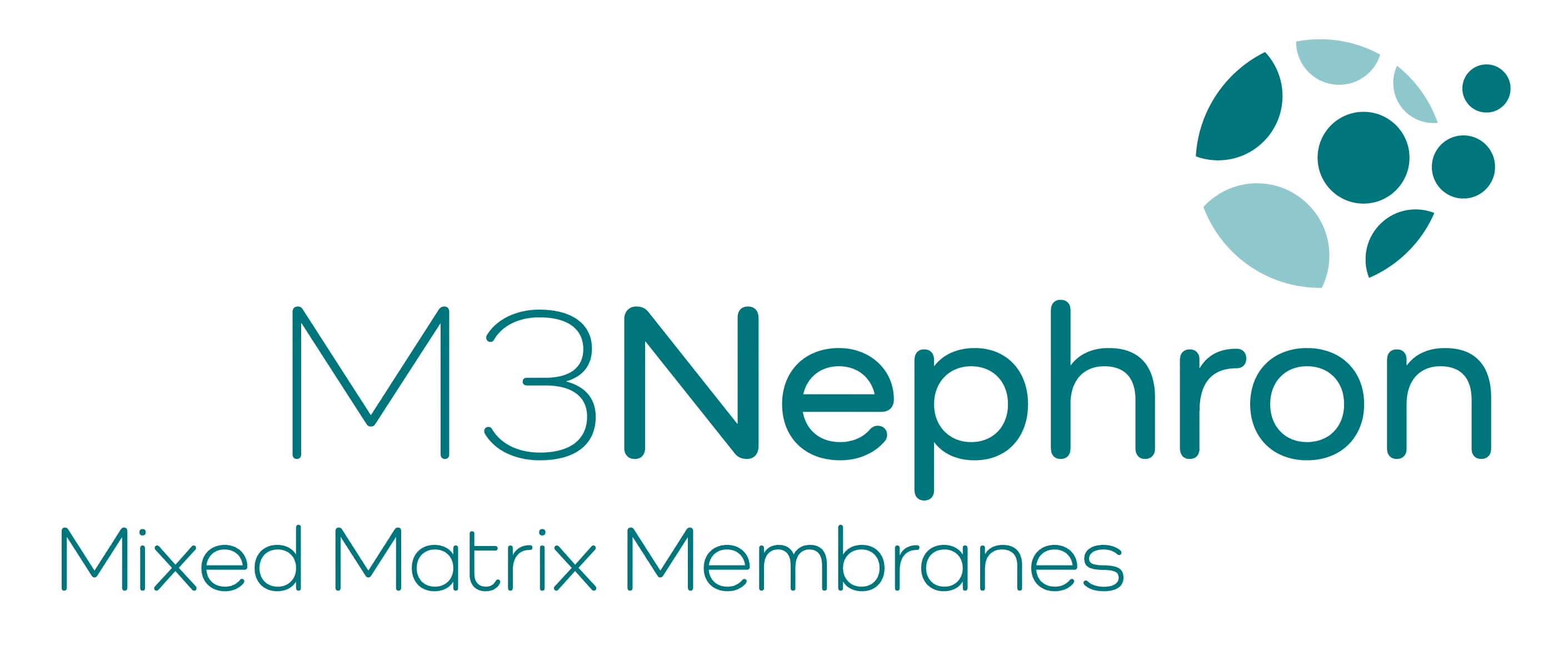 M3Nephron logo