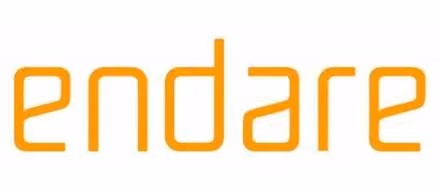 Endare logo