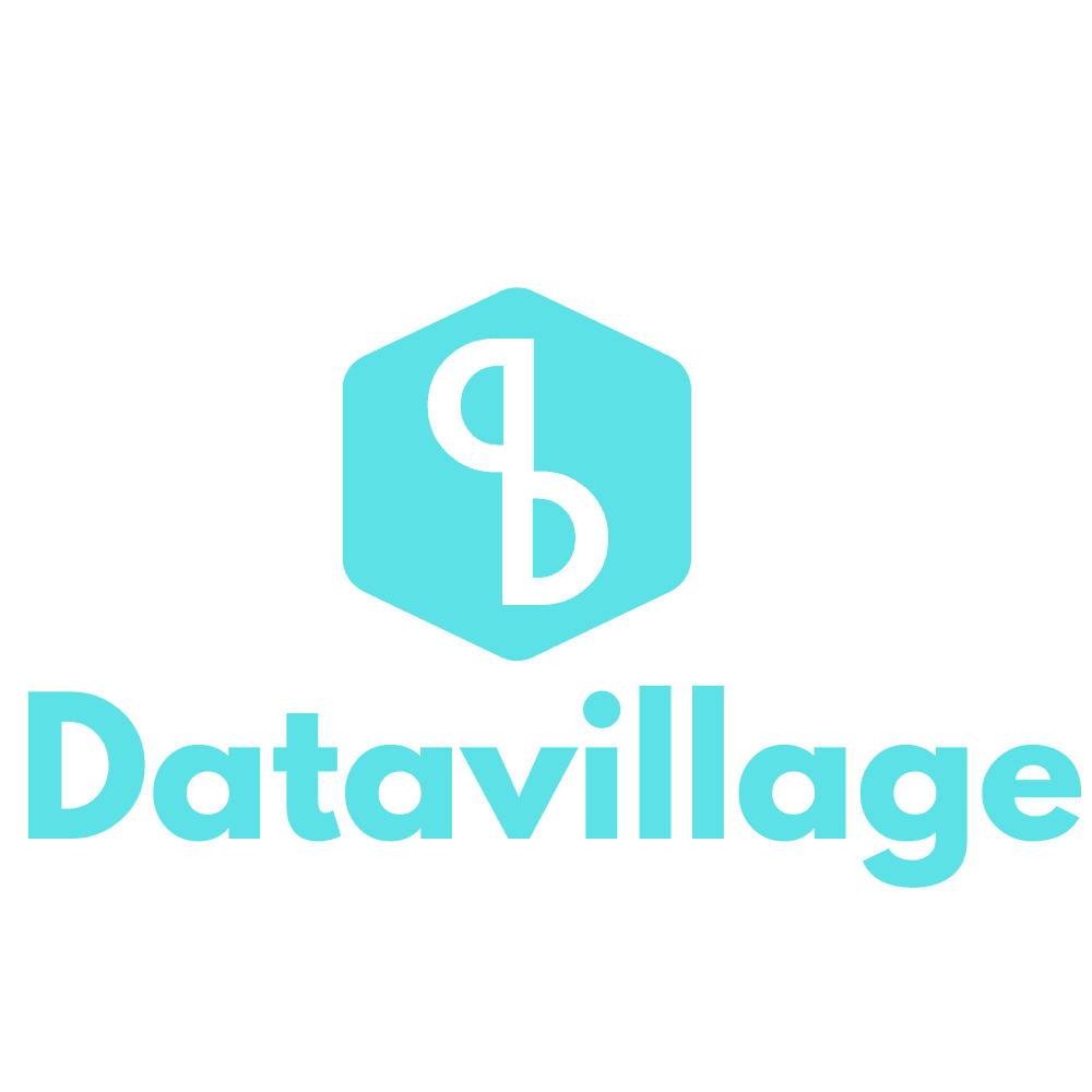 Datavillage logo