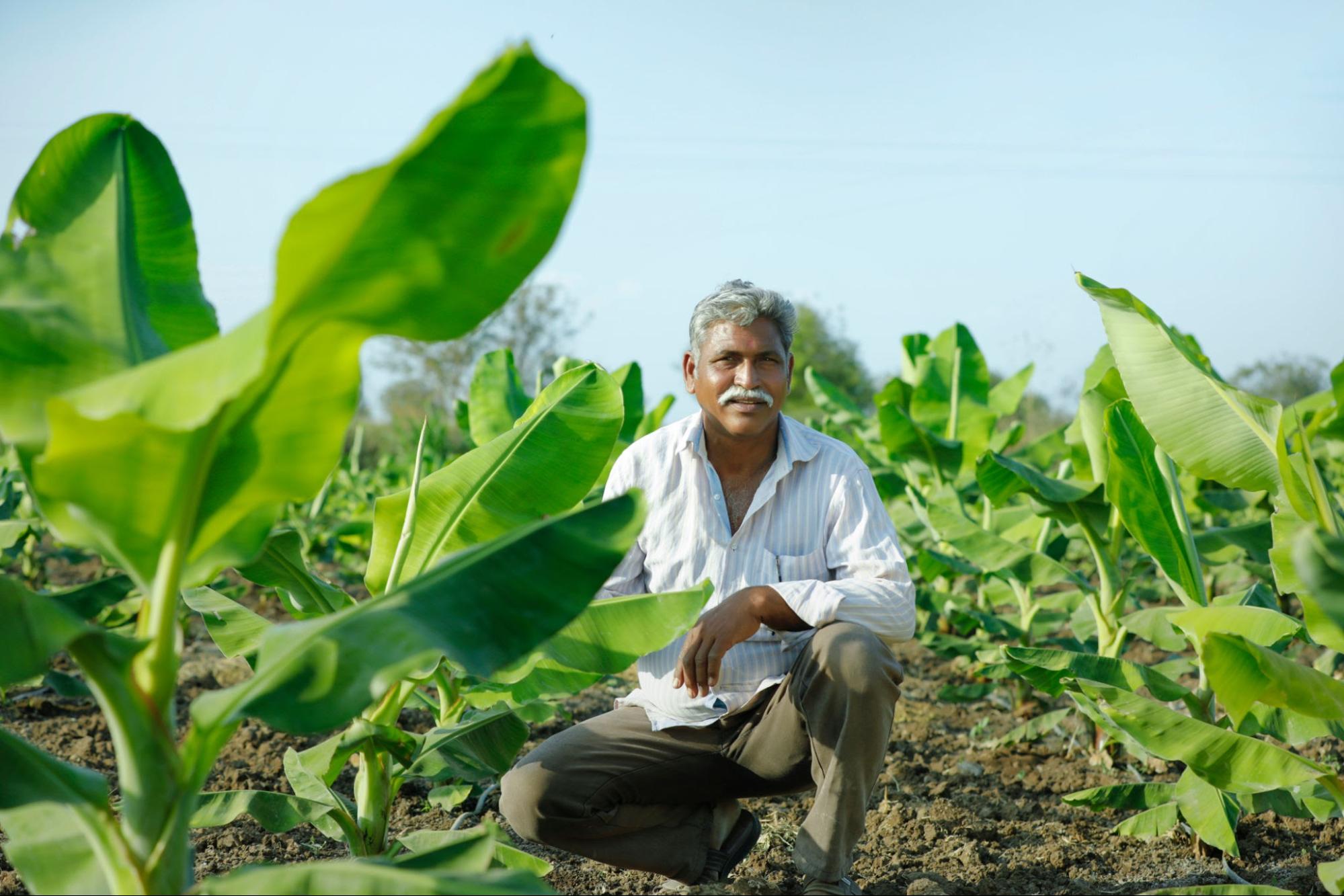 From Uncertain Harvests to a Long-Term Future: Mahesh's Journey with Farmers for Forests