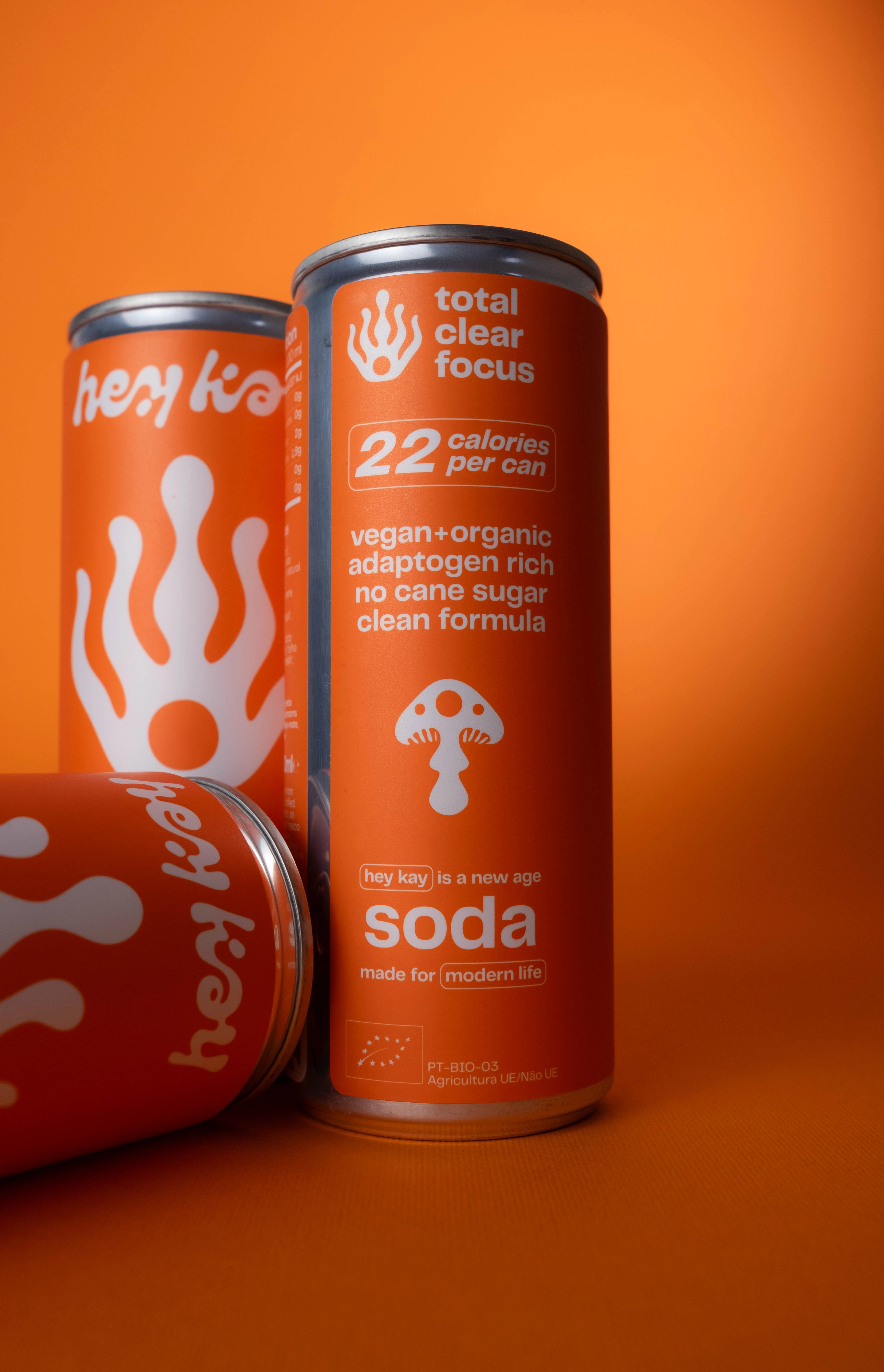 hey kay energy can: 22 calories, vegan and organic, no cane sugar