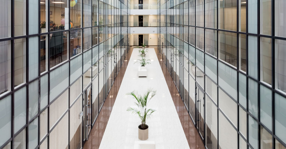 Modern hallway with glass walls and potted plants in perspective view
