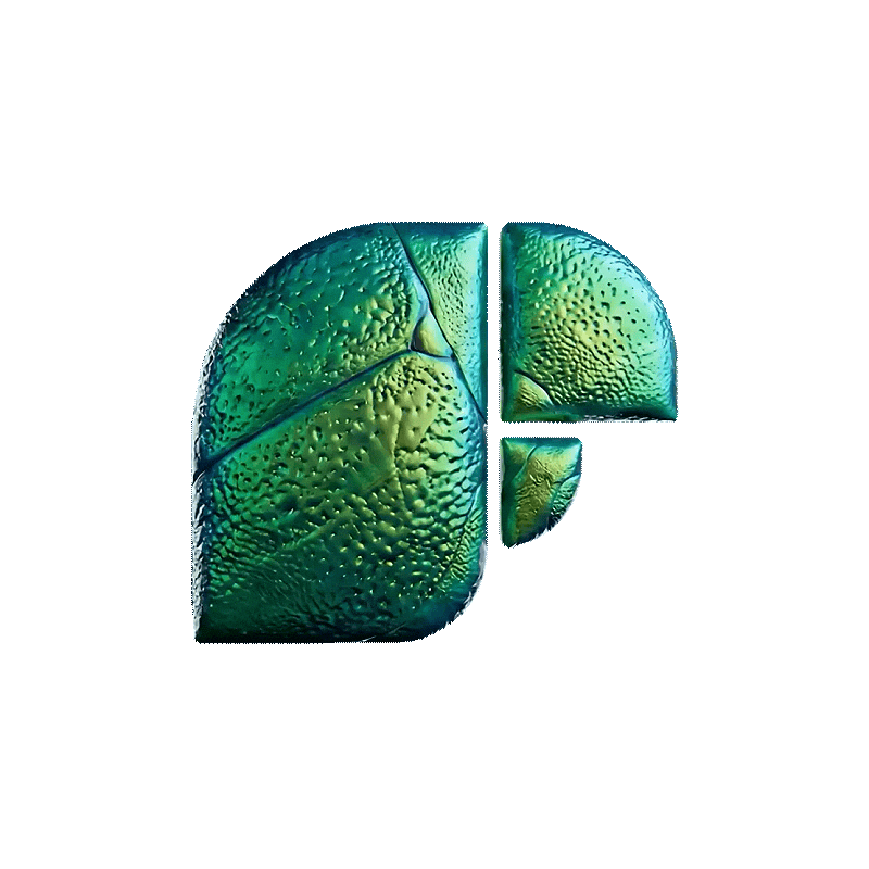 Keetri logomark animated