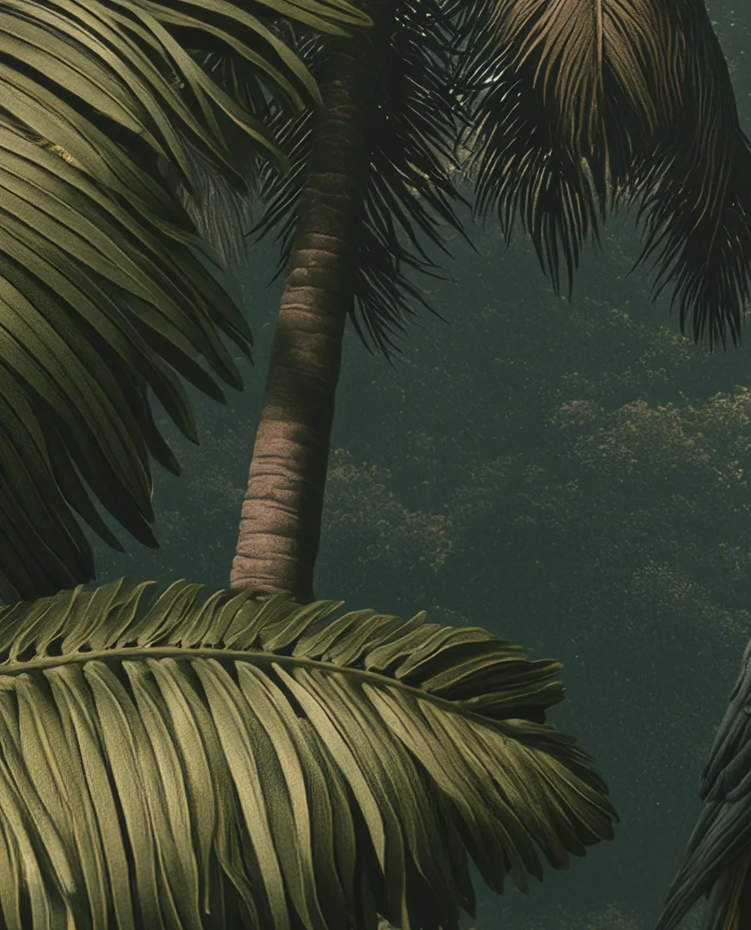 Close-up of palm tree fronds and trunk against a dark jungle background