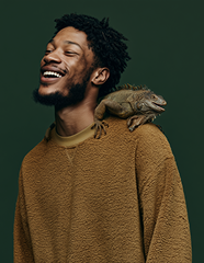 Illustration of an iguana