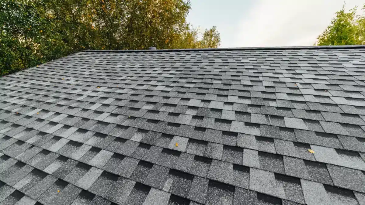Alternatives to 3-Tab Shingles
