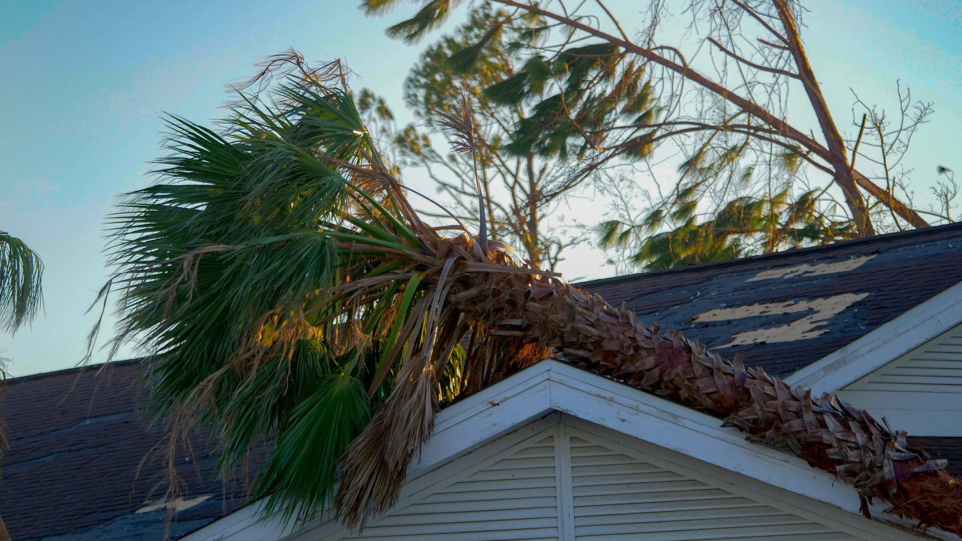 Why Is It So Hard to Get Insurance to Pay for a Roof Replacement