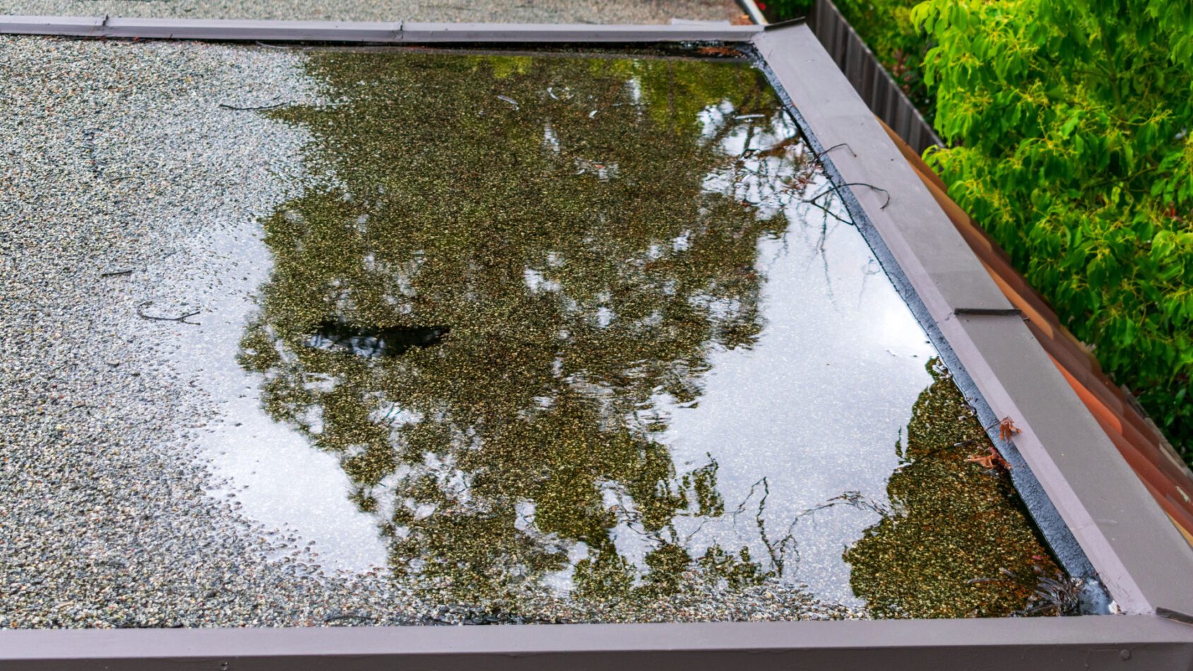 Should I Repair a Flat Roof by Myself