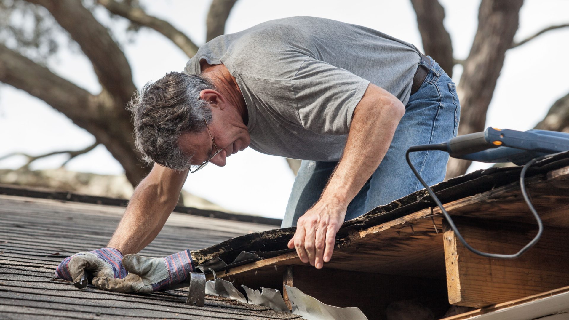 Finding the Best Roof Leak Repair Company in Florida