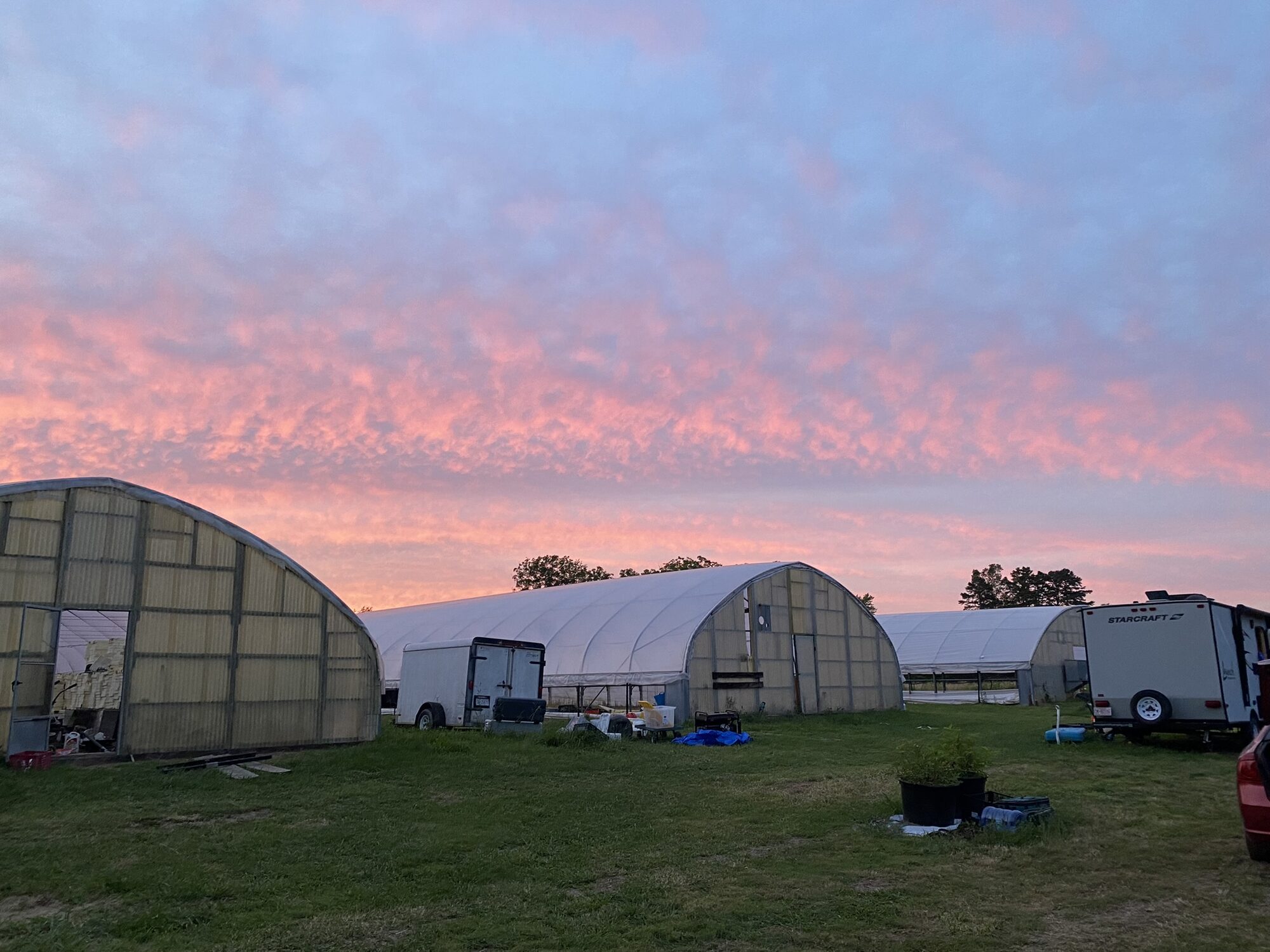 Two high tunnel greenhouses under a pink and blue sunset sky at Zephyr Family Farm in Roxboro, NC