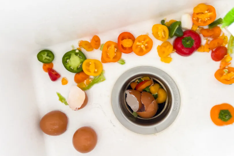 A garbage disposal with food being put into it