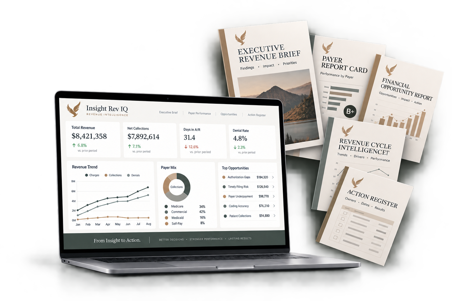 Insight Rev IQ executive revenue intelligence dashboard and reporting deliverables