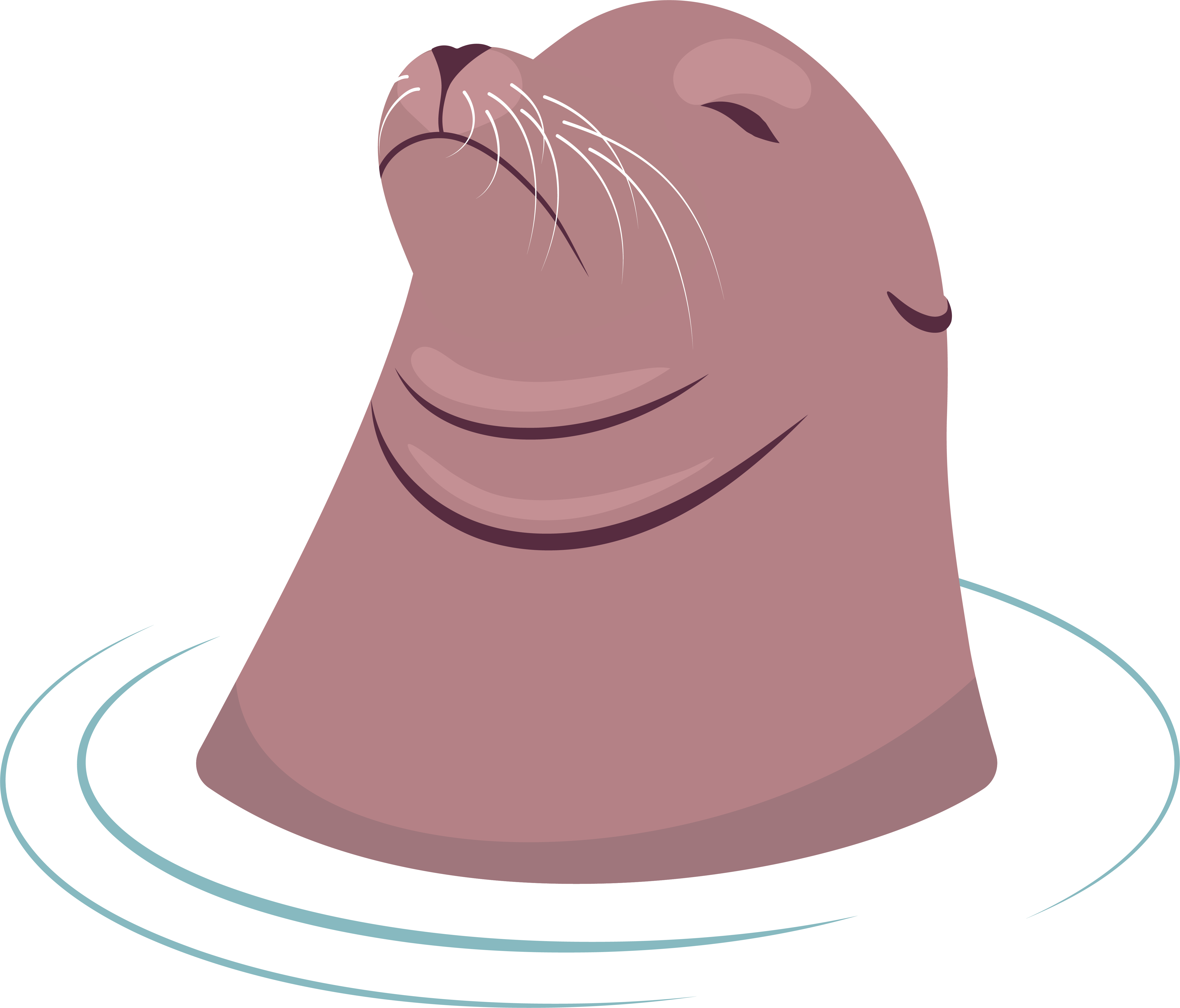 Illustration of a sea lion head emerging from water with rings around it, eyes closed and whiskers visible.