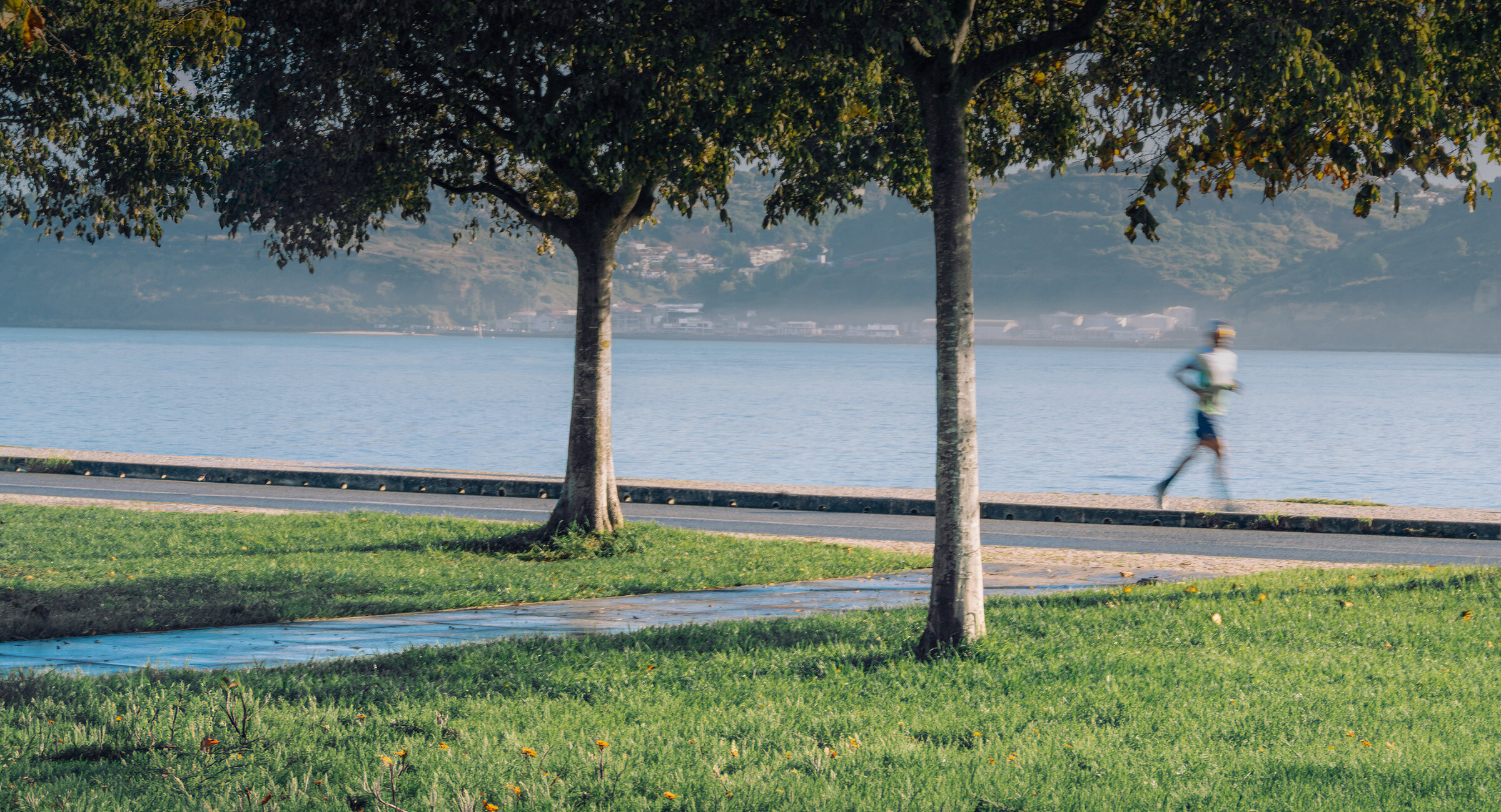 A runner on a lakeside path at sunrise, seen through tall trees