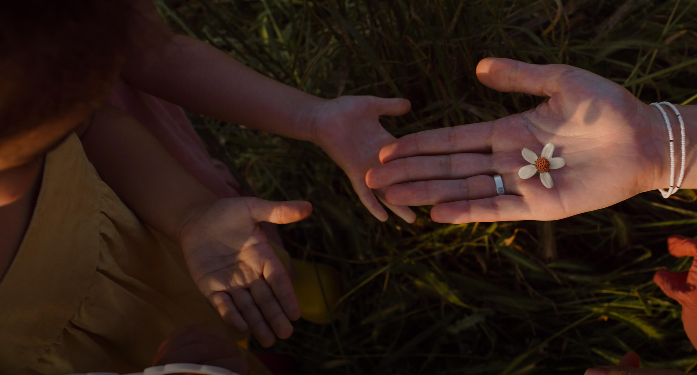 Two hands reaching toward each other in tall grass