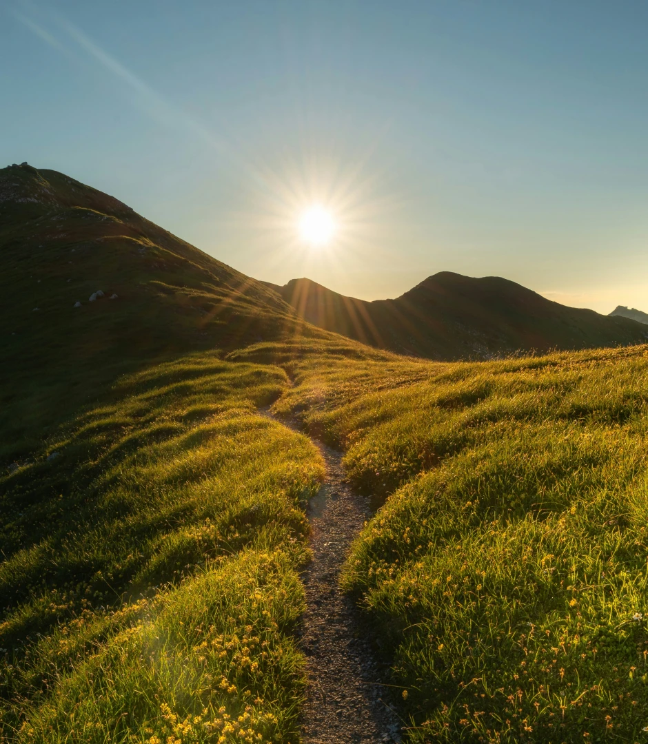 Sun shining over a narrow dirt path winding through green grassy hills with small yellow flowers under a clear blue sky.