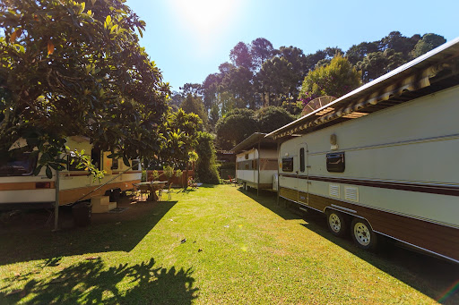 Sunlit campsite featuring vintage trailers surrounded by lush greenery and a tranquil atmosphere.