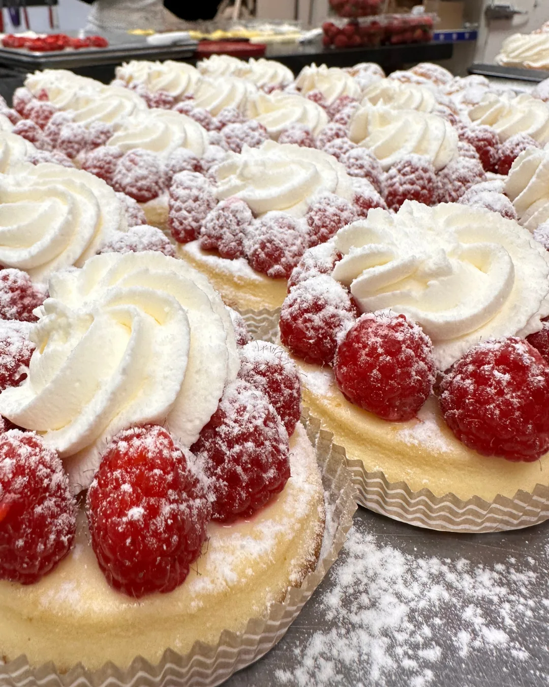 Raspberry cheesecakes topped with whipped cream and dusted with icing sugar