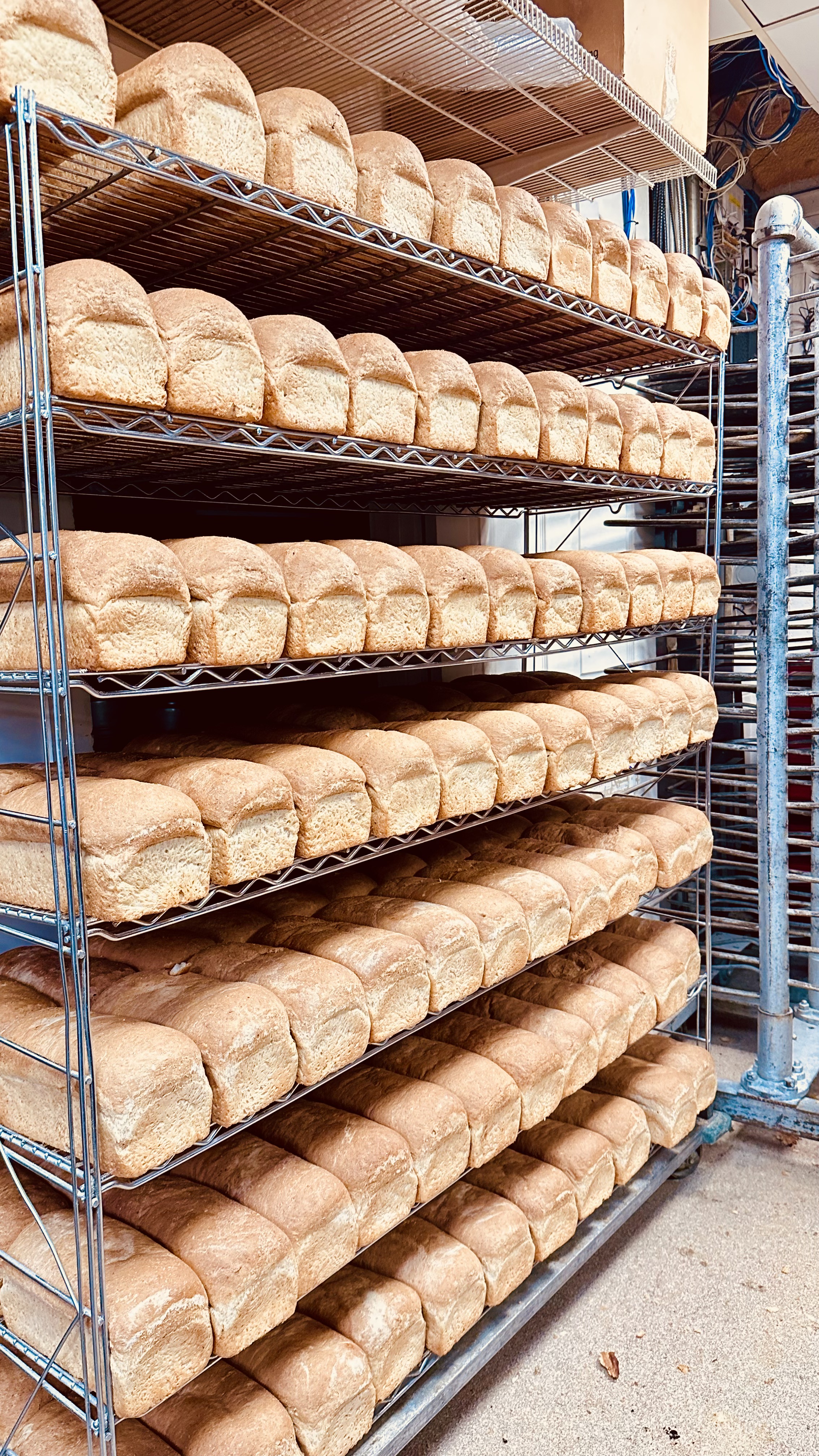 Donuts and long johns arranged on the tiered racks in the display case