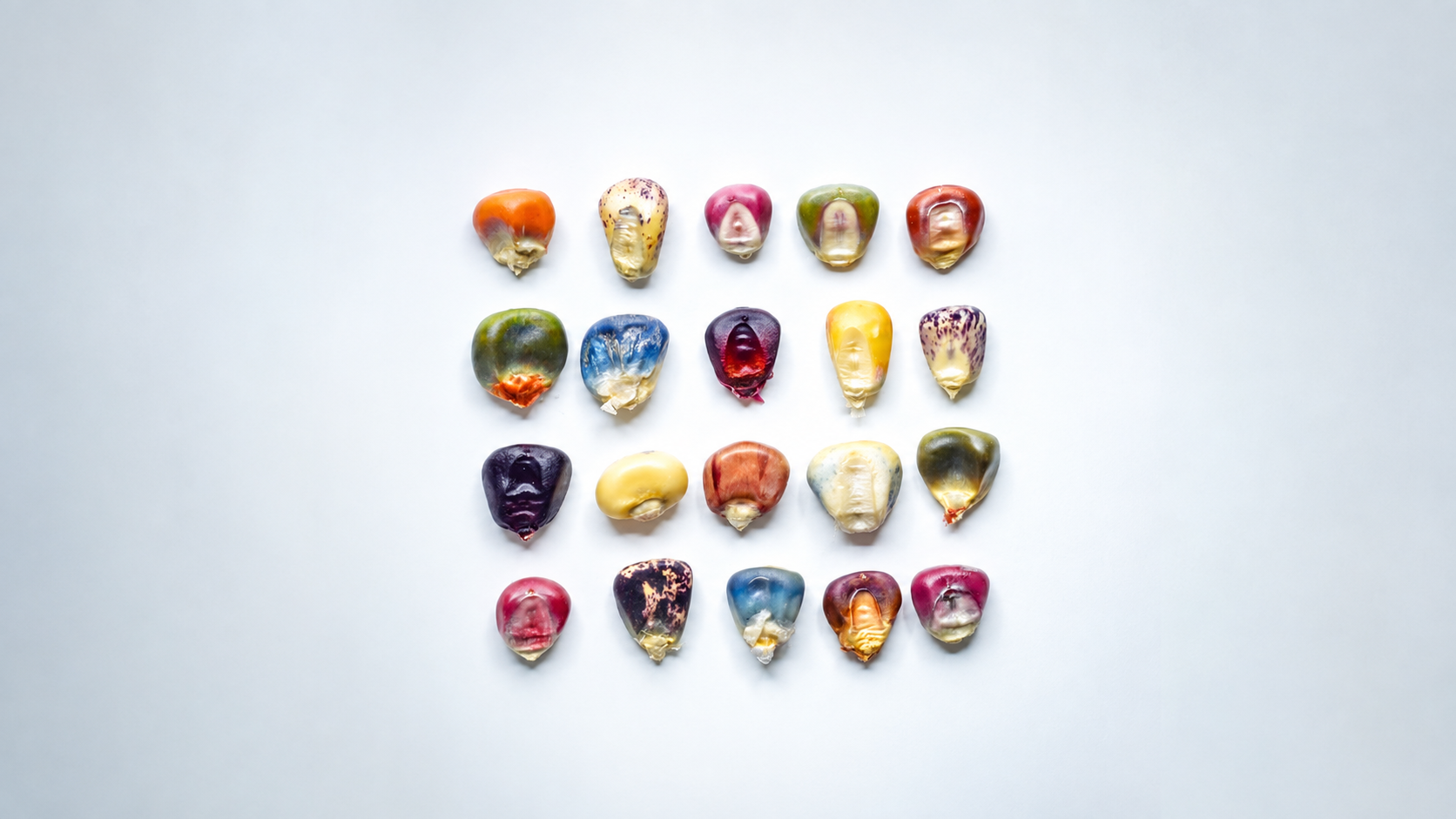 The Intelligence of Diversity: What Corn Can Teach Life Sciences About Innovation, Ecosystems, and AI
